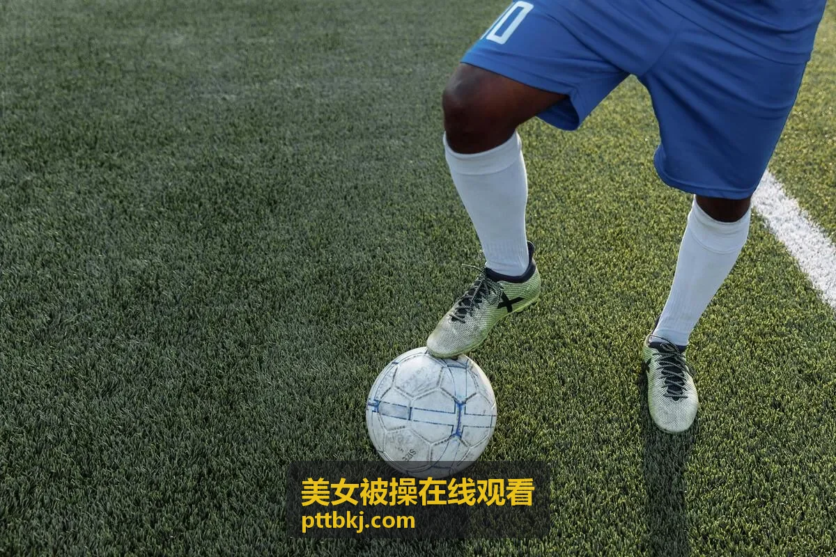 美女被操在线观看视频集锦